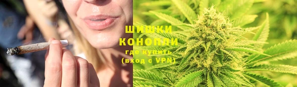 PSILOCYBIN Горнозаводск